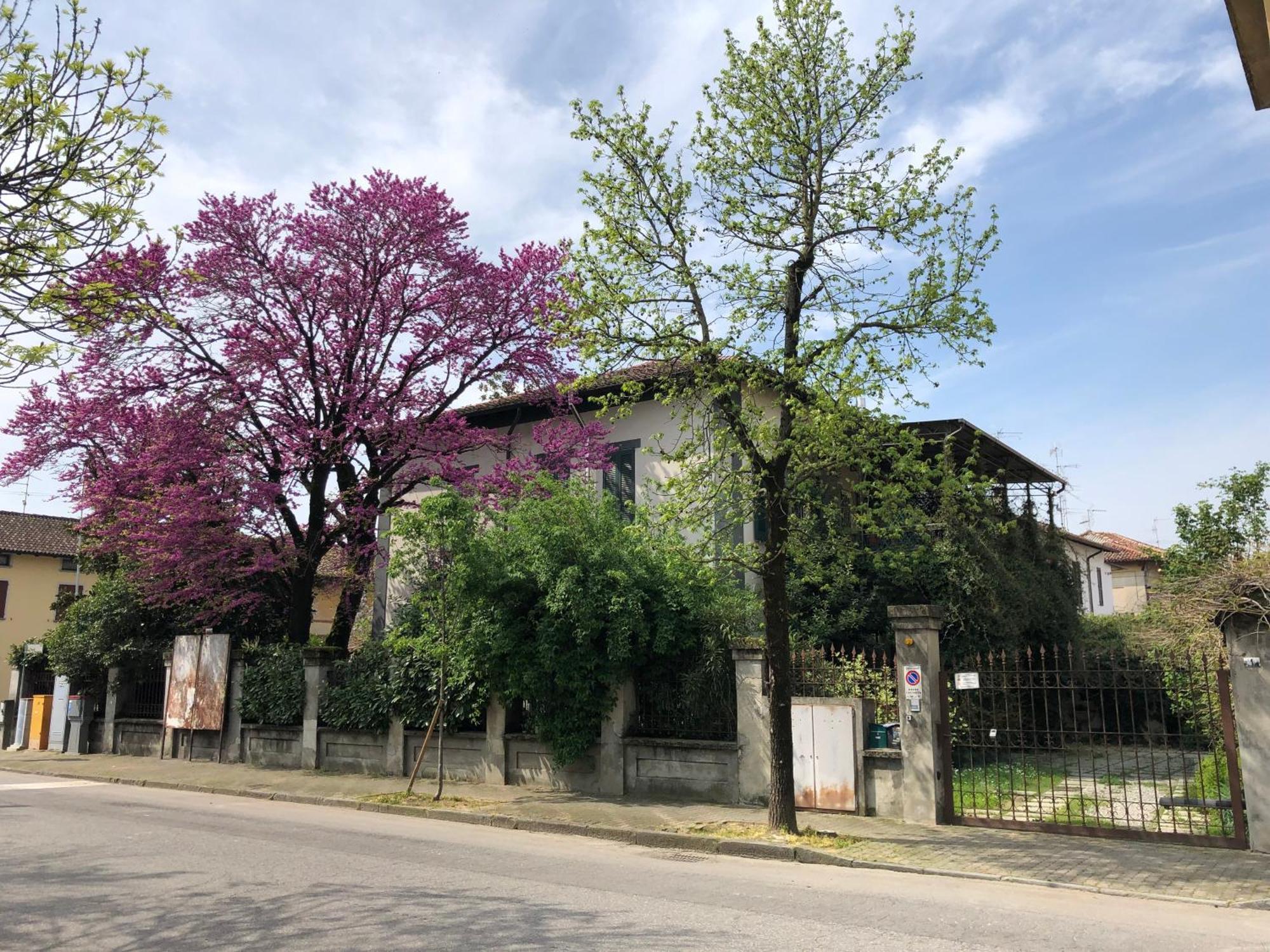 Appartamento Il Gelsomino Castelleone Exterior photo